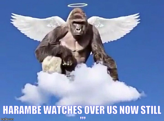 ,,, HARAMBE WATCHES OVER US NOW STILL | made w/ Imgflip meme maker