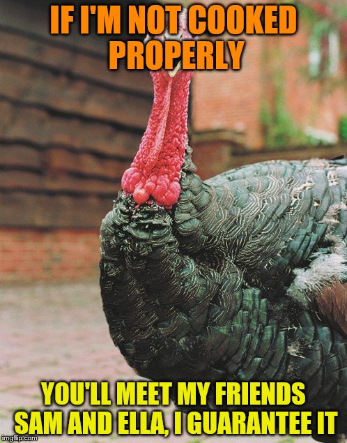 turkey | IF I'M NOT COOKED PROPERLY; YOU'LL MEET MY FRIENDS SAM AND ELLA, I GUARANTEE IT | image tagged in turkey,thanksgiving,i guarantee it,bad pun | made w/ Imgflip meme maker