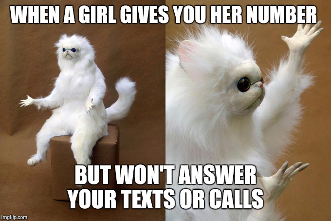 Persian Cat Room Guardian Meme | WHEN A GIRL GIVES YOU HER NUMBER; BUT WON'T ANSWER YOUR TEXTS OR CALLS | image tagged in memes,persian cat room guardian | made w/ Imgflip meme maker