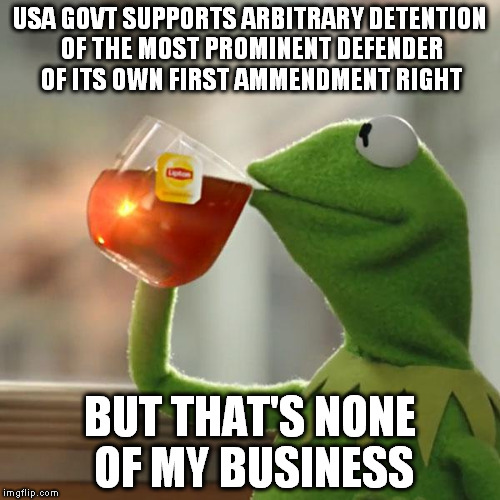 But That's None Of My Business Meme | USA GOVT SUPPORTS ARBITRARY DETENTION OF THE MOST PROMINENT DEFENDER OF ITS OWN FIRST AMMENDMENT RIGHT; BUT THAT'S NONE OF MY BUSINESS | image tagged in memes,but thats none of my business,kermit the frog | made w/ Imgflip meme maker