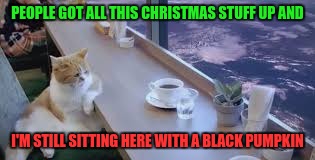 Out of date cat | PEOPLE GOT ALL THIS CHRISTMAS STUFF UP AND; I'M STILL SITTING HERE WITH A BLACK PUMPKIN | image tagged in cats | made w/ Imgflip meme maker