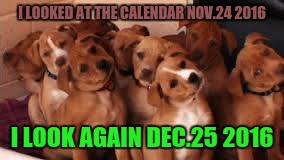 Confused dog | I LOOKED AT THE CALENDAR NOV.24 2016; I LOOK AGAIN DEC.25 2016 | image tagged in confused dog | made w/ Imgflip meme maker