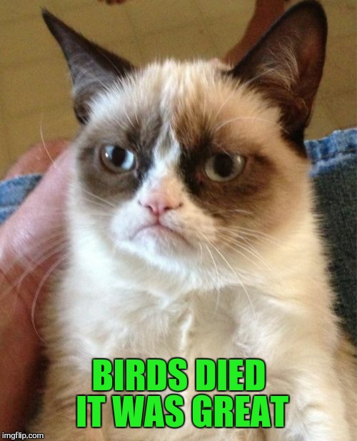 Grumpy Cat Meme | BIRDS DIED IT WAS GREAT | image tagged in memes,grumpy cat | made w/ Imgflip meme maker
