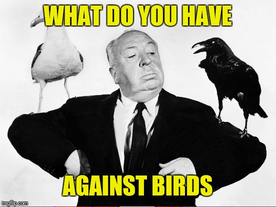WHAT DO YOU HAVE AGAINST BIRDS | made w/ Imgflip meme maker