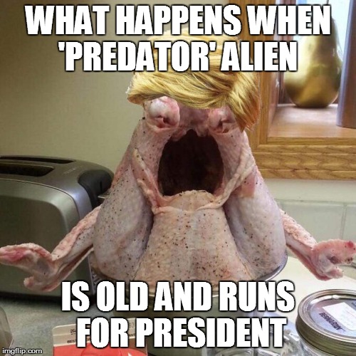 Turkey Trump | WHAT HAPPENS WHEN 'PREDATOR' ALIEN; IS OLD AND RUNS FOR PRESIDENT | image tagged in turkey trump | made w/ Imgflip meme maker