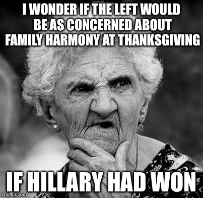 Wondering Old Lady | I WONDER IF THE LEFT WOULD BE AS CONCERNED ABOUT FAMILY HARMONY AT THANKSGIVING; IF HILLARY HAD WON | image tagged in wondering old lady | made w/ Imgflip meme maker