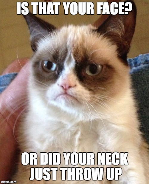 Grumpy Cat Meme | IS THAT YOUR FACE? OR DID YOUR NECK JUST THROW UP | image tagged in memes,grumpy cat | made w/ Imgflip meme maker