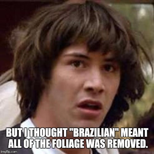 Conspiracy Keanu Meme | BUT I THOUGHT "BRAZILIAN" MEANT ALL OF THE FOLIAGE WAS REMOVED. | image tagged in memes,conspiracy keanu | made w/ Imgflip meme maker