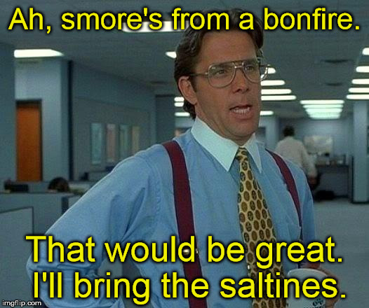 That Would Be Great Meme | Ah, smore's from a bonfire. That would be great. I'll bring the saltines. | image tagged in memes,that would be great | made w/ Imgflip meme maker