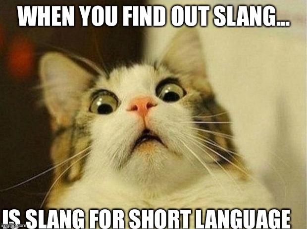 Scared Cat Meme | WHEN YOU FIND OUT SLANG... IS SLANG FOR SHORT LANGUAGE | image tagged in memes,scared cat | made w/ Imgflip meme maker