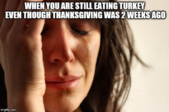 First World Problems | WHEN YOU ARE STILL EATING TURKEY EVEN THOUGH THANKSGIVING WAS 2 WEEKS AGO | image tagged in memes,first world problems | made w/ Imgflip meme maker