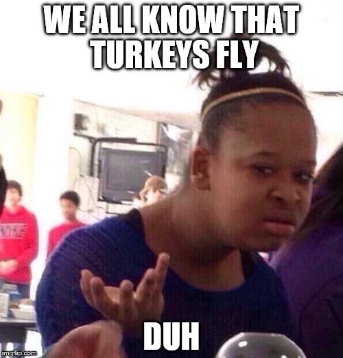 Black Girl Wat Meme | WE ALL KNOW THAT TURKEYS FLY; DUH | image tagged in memes,black girl wat | made w/ Imgflip meme maker