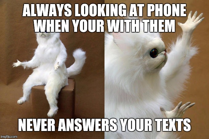 Everyone has one of these friends | ALWAYS LOOKING AT PHONE WHEN YOUR WITH THEM; NEVER ANSWERS YOUR TEXTS | image tagged in memes,persian cat room guardian | made w/ Imgflip meme maker