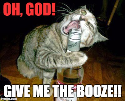 cat opening liquor bottle with mouth | OH, GOD! GIVE ME THE BOOZE!! | image tagged in cat opening liquor bottle with mouth | made w/ Imgflip meme maker