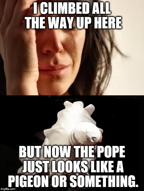 I CLIMBED ALL THE WAY UP HERE BUT NOW THE POPE JUST LOOKS LIKE A PIGEON OR SOMETHING. | made w/ Imgflip meme maker