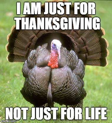 Turkey Meme | I AM JUST FOR THANKSGIVING; NOT JUST FOR LIFE | image tagged in memes,turkey | made w/ Imgflip meme maker