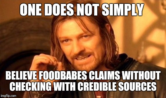 One Does Not Simply Meme | ONE DOES NOT SIMPLY BELIEVE FOODBABES CLAIMS WITHOUT CHECKING WITH CREDIBLE SOURCES | image tagged in memes,one does not simply | made w/ Imgflip meme maker