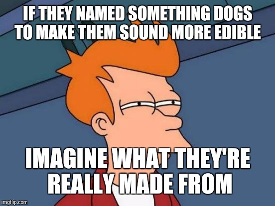 Futurama Fry Meme | IF THEY NAMED SOMETHING DOGS TO MAKE THEM SOUND MORE EDIBLE IMAGINE WHAT THEY'RE REALLY MADE FROM | image tagged in memes,futurama fry | made w/ Imgflip meme maker