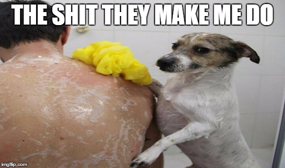 The shit they make me do | THE SHIT THEY MAKE ME DO | image tagged in angry dog | made w/ Imgflip meme maker