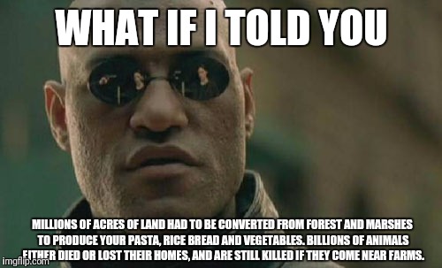 Matrix Morpheus Meme | WHAT IF I TOLD YOU MILLIONS OF ACRES OF LAND HAD TO BE CONVERTED FROM FOREST AND MARSHES TO PRODUCE YOUR PASTA, RICE BREAD AND VEGETABLES. B | image tagged in memes,matrix morpheus | made w/ Imgflip meme maker