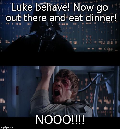star wars | Luke behave! Now go out there and eat dinner! NOOO!!!! | image tagged in star wars | made w/ Imgflip meme maker