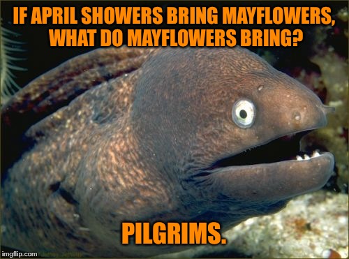 Bad Joke Eel | IF APRIL SHOWERS BRING MAYFLOWERS, WHAT DO MAYFLOWERS BRING? PILGRIMS. | image tagged in memes,bad joke eel | made w/ Imgflip meme maker