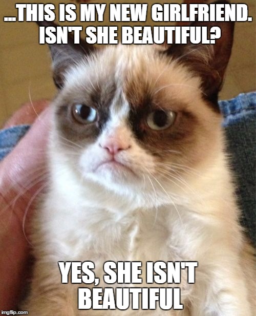 Grumpy Cat | ...THIS IS MY NEW GIRLFRIEND. ISN'T SHE BEAUTIFUL? YES, SHE ISN'T BEAUTIFUL | image tagged in memes,grumpy cat | made w/ Imgflip meme maker