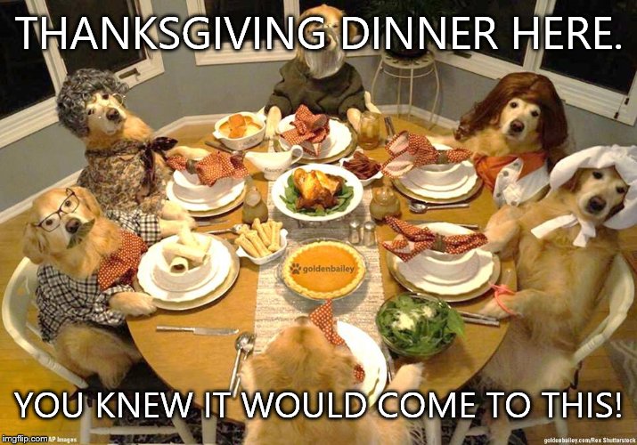 dog thanksgiving | THANKSGIVING DINNER HERE. YOU KNEW IT WOULD COME TO THIS! | image tagged in dog thanksgiving | made w/ Imgflip meme maker