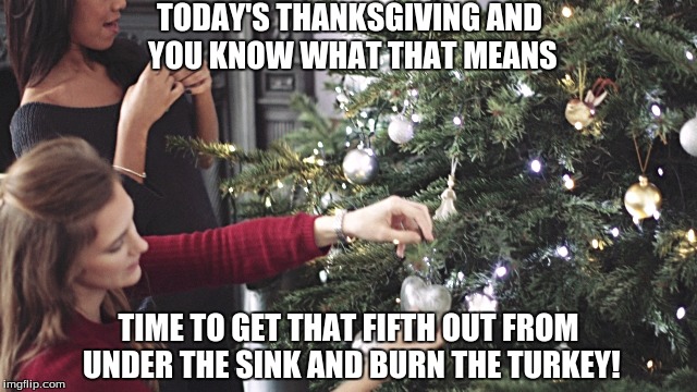 Burn the tree down too! | TODAY'S THANKSGIVING AND YOU KNOW WHAT THAT MEANS; TIME TO GET THAT FIFTH OUT FROM UNDER THE SINK AND BURN THE TURKEY! | image tagged in thanksgiving,liquor,christmas,christmas decorations,drunk | made w/ Imgflip meme maker