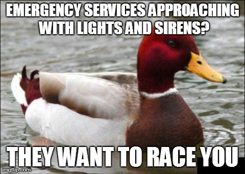 Malicious Advice Mallard Meme | image tagged in memes,malicious advice mallard,AdviceAnimals | made w/ Imgflip meme maker