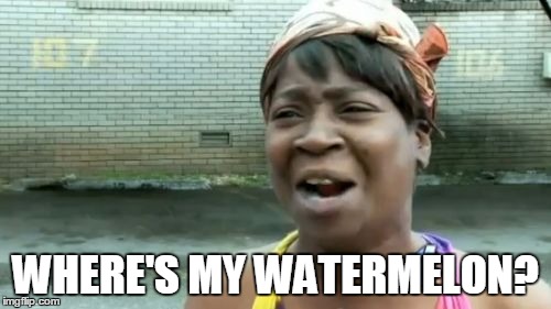 Ain't Nobody Got Time For That | WHERE'S MY WATERMELON? | image tagged in memes,aint nobody got time for that | made w/ Imgflip meme maker