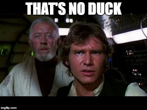 THAT'S NO DUCK | made w/ Imgflip meme maker
