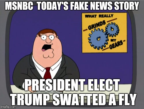 Peter Griffin News Meme | MSNBC  TODAY'S FAKE NEWS STORY; PRESIDENT ELECT TRUMP SWATTED A FLY | image tagged in memes,peter griffin news | made w/ Imgflip meme maker