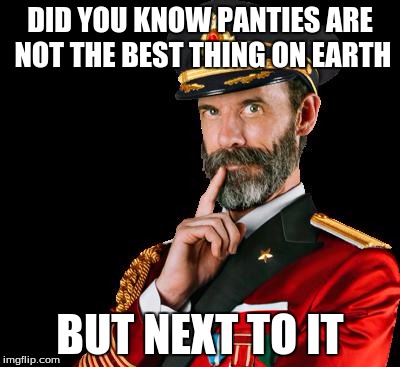 captain obvious | DID YOU KNOW PANTIES ARE NOT THE BEST THING ON EARTH; BUT NEXT TO IT | image tagged in captain obvious | made w/ Imgflip meme maker