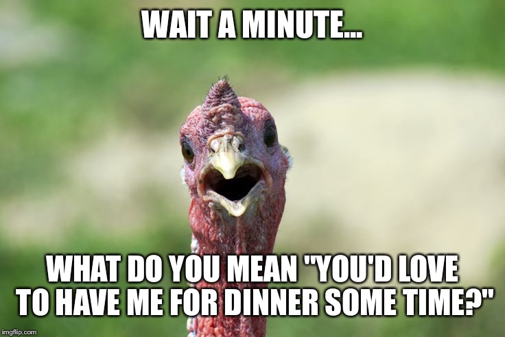 WAIT A MINUTE... WHAT DO YOU MEAN "YOU'D LOVE TO HAVE ME FOR DINNER SOME TIME?" | image tagged in happy thanksgiving,turkey | made w/ Imgflip meme maker