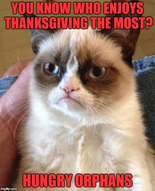 Grumpy Cat | YOU KNOW WHO ENJOYS THANKSGIVING THE MOST? HUNGRY ORPHANS | image tagged in memes,grumpy cat | made w/ Imgflip meme maker