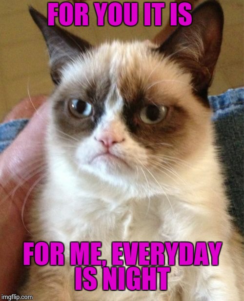 Grumpy Cat Meme | FOR YOU IT IS FOR ME, EVERYDAY IS NIGHT | image tagged in memes,grumpy cat | made w/ Imgflip meme maker