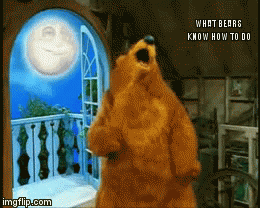 Bear Dance | image tagged in gifs,bear,dance | made w/ Imgflip video-to-gif maker