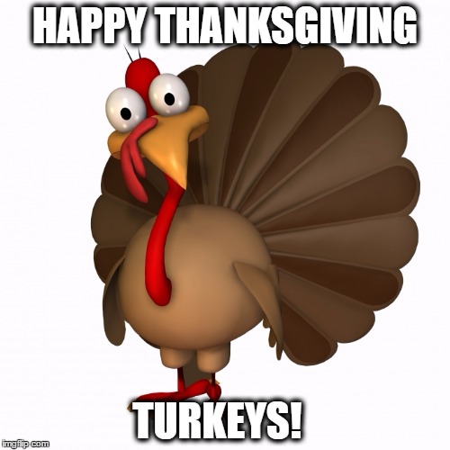 HAPPY THANKSGIVING; TURKEYS! | image tagged in turkeys | made w/ Imgflip meme maker