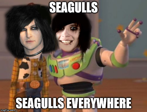 Seagulls are everywhere.. | image tagged in andy biersack,black veil brides,x x everywhere | made w/ Imgflip meme maker