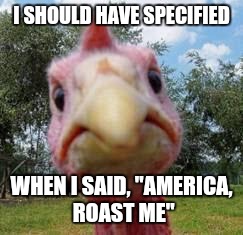 turkey | I SHOULD HAVE SPECIFIED; WHEN I SAID, "AMERICA, ROAST ME" | image tagged in turkey | made w/ Imgflip meme maker