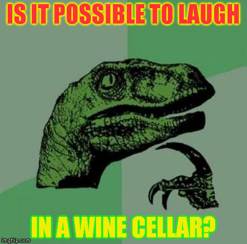 IS IT POSSIBLE TO LAUGH; IN A WINE CELLAR? | image tagged in need your feedback  is it funny,or just bad | made w/ Imgflip meme maker