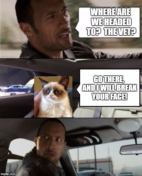 The Rock Driving Blank 2 | WHERE ARE WE HEADED TO?  THE VET? GO THERE, AND I WILL BREAK YOUR FACE! | image tagged in the rock driving blank 2 | made w/ Imgflip meme maker