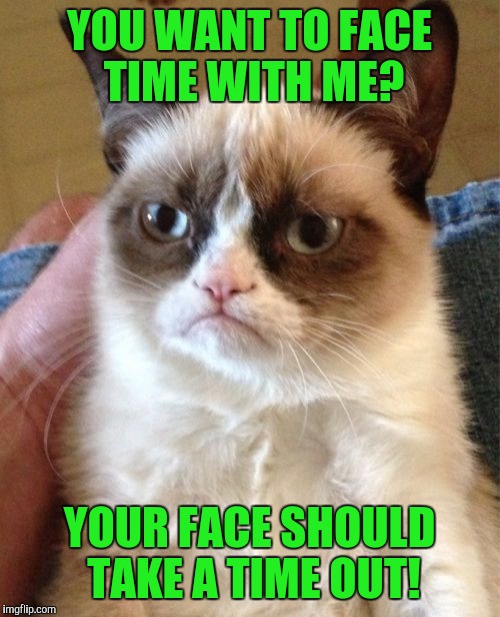 Grumpy Cat | YOU WANT TO FACE TIME WITH ME? YOUR FACE SHOULD TAKE A TIME OUT! | image tagged in memes,grumpy cat | made w/ Imgflip meme maker