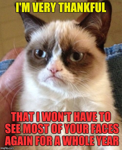 Grumpy Cat Meme | I'M VERY THANKFUL; THAT I WON'T HAVE TO SEE MOST OF YOUR FACES AGAIN FOR A WHOLE YEAR | image tagged in memes,grumpy cat | made w/ Imgflip meme maker