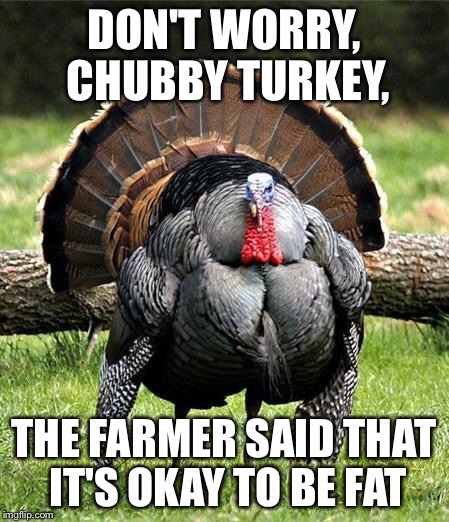 Fat Turkey | DON'T WORRY, CHUBBY TURKEY, THE FARMER SAID THAT IT'S OKAY TO BE FAT | image tagged in fat turkey | made w/ Imgflip meme maker