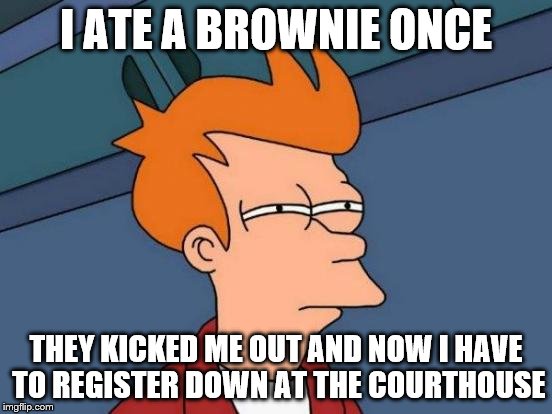 Futurama Fry Meme | I ATE A BROWNIE ONCE THEY KICKED ME OUT AND NOW I HAVE TO REGISTER DOWN AT THE COURTHOUSE | image tagged in memes,futurama fry | made w/ Imgflip meme maker