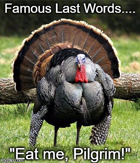 Famous Last Words.... | Famous Last Words.... "Eat me, Pilgrim!" | image tagged in fat turkey,eat me pilgrim,thanksgiving,turkey | made w/ Imgflip meme maker