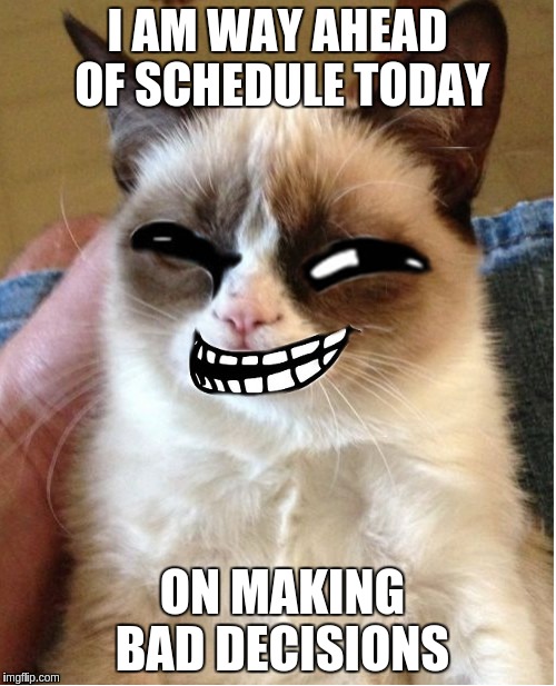 Troll Cat | I AM WAY AHEAD OF SCHEDULE TODAY; ON MAKING BAD DECISIONS | image tagged in troll cat | made w/ Imgflip meme maker