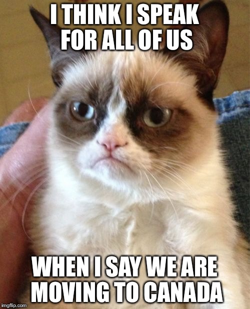 Grumpy Cat | I THINK I SPEAK FOR ALL OF US; WHEN I SAY WE ARE MOVING TO CANADA | image tagged in memes,grumpy cat | made w/ Imgflip meme maker